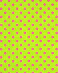 Dottie Chartreuse Candy Pink by  Premier Prints 
