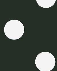 Oxygen Black White by  Premier Prints 
