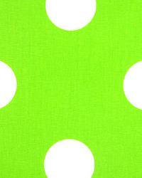 Oxygen Chartreuse White by  Premier Prints 