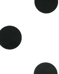 Oxygen White Black by  Premier Prints 