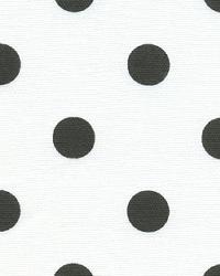 Polka Dots White Black by  Premier Prints 