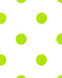 Polka Dots White Chartreuse by  Premier Prints 