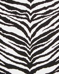 Tunisia Black by  Premier Prints 