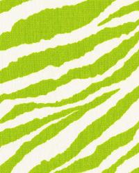 Tunisia Chartreuse by  Premier Prints 