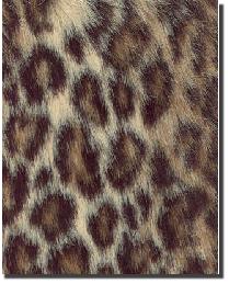 Animal Prints Collection Animal Prints Collection