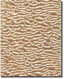 Persian Lamb Gold Faux Fur Persian Lamb Gold Faux Fur
