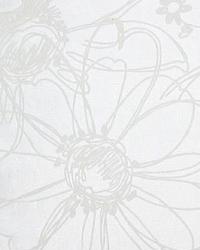 Bellini Birch by  In Stock  
