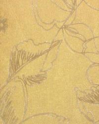 Bellini Cumin by  In Stock  