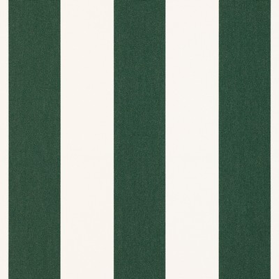 Sunbrella Sunbrella Awning 4806 0000 Forest Green Natural 6 Bar 46 in Sunbrella Awning Green Multipurpose Solution  Blend Stripes and Plaids Outdoor  Awning Material Striped  Patterned Sunbrella   Fabric