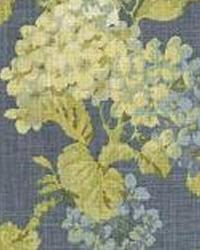 Rolling Meadow Circa Chambray by  In Stock  