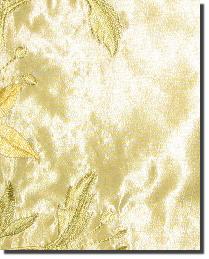 Wes Tiramisu Bonsa by  In Stock  