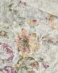 Annabelle Eggshell Background