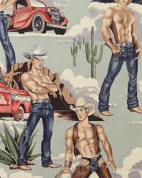 Cowboy Fabric