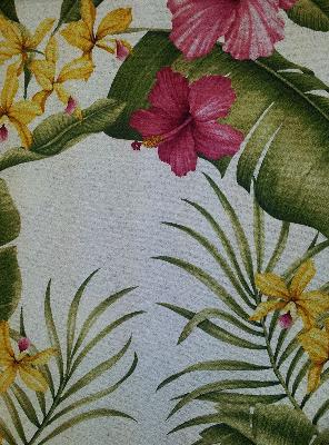 Big Kahuna Hamakua White in New Big Kahuna Beige Cotton Tropical  Classic Tropical   Fabric