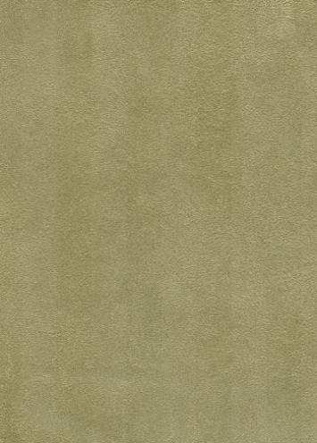 Aspen Jade P. Kaufmann Aspen Jade Search Results