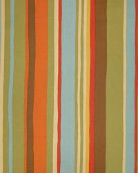 Bazaar Stripe Jungle In Stock