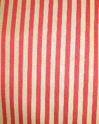 Neon Stripe Pepper In Stock Neon Stripe Pepper In Stock