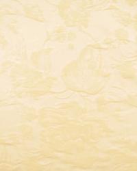 Roselle Cream by  In Stock  