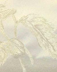 Scarlatti Ivory by  In Stock  
