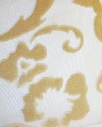 Windrose Gold by  In Stock  