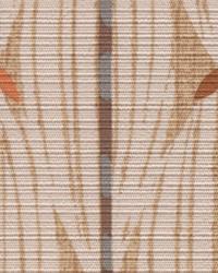 Kasbah Camel Kudos