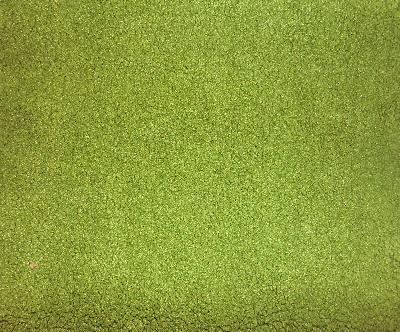 Ali Lime in Alicante Green Upholstery Polyester  Blend High Wear Commercial Upholstery Solid Green  Terry Cloth   Fabric