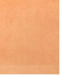 14041 Terracotta by  Duralee 