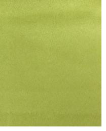 14470 Mint Leaf by  Duralee 