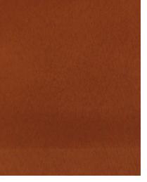 31803 Bronze by  Duralee 