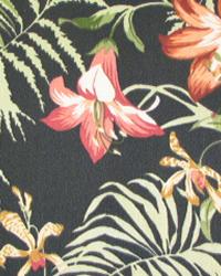 Lanai Outdoor/Indoor Collection