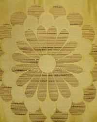 Dynasty A Wheat