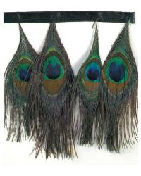 Feather Fringe and Trim