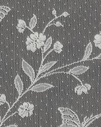115668 IVORY by  In Stock  