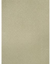 Agatha Lettuce by  In Stock  