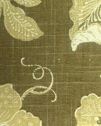 Milkweed Toile Chocolate by  In Stock  