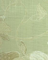 Milkweed Toile Sage by  In Stock  