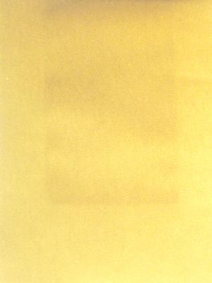 Renaissance Forsythia Fabricut Renaissance Forsythia Search Results
