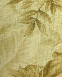 Riverwood Birch by  In Stock  