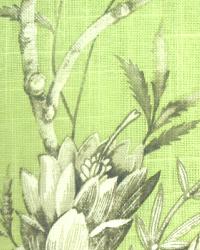 Santa Anita Pistachio by  In Stock  