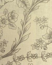 Sheltowee Trace Document by  In Stock  