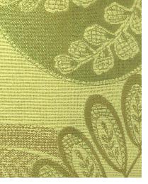 Eco-friendly Fabric