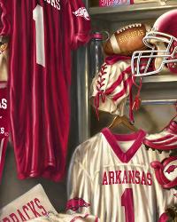 Arkansas Razorbacks Locker Room Panel Fleece 2010 College Fleece
