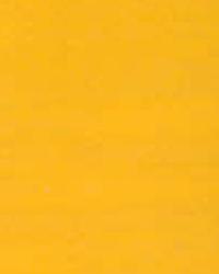 Solid MFP Gold Foust Fleece Solid MFP Gold Foust Fleece