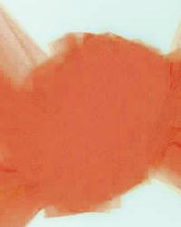 Tulle 54 T54 Copper Tulle