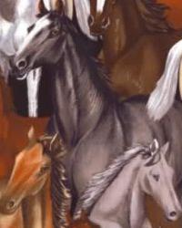 West Black New 2010