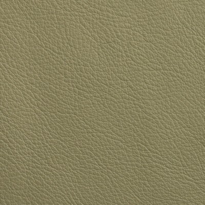 Garrett Leather Chatham Gray Sage Leather in Chatham Leather Leather Fire Rated Fabric Italian Leather Solid Leather HIdes Solid Leather HIdes  Fabric