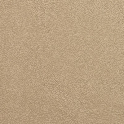 Garrett Leather Chatham Pebble Leather in Chatham Leather Leather Fire Rated Fabric Solid Leather HIdes  Fabric