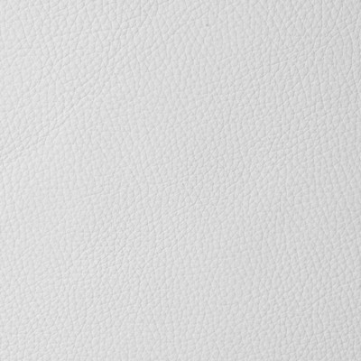 Garrett Leather Torino Blizzard Leather in Torino White Upholstery pebble  Blend Fire Rated Fabric Italian Leather Solid Leather HIdes Solid White   Fabric