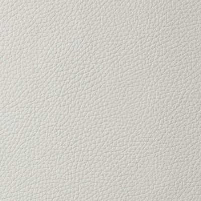 Garrett Leather Torino Eggshell Leather in Torino White Upholstery pebble  Blend Fire Rated Fabric Italian Leather Solid Leather HIdes Solid White   Fabric