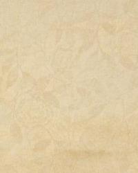 10091 Parchment by  In Stock  